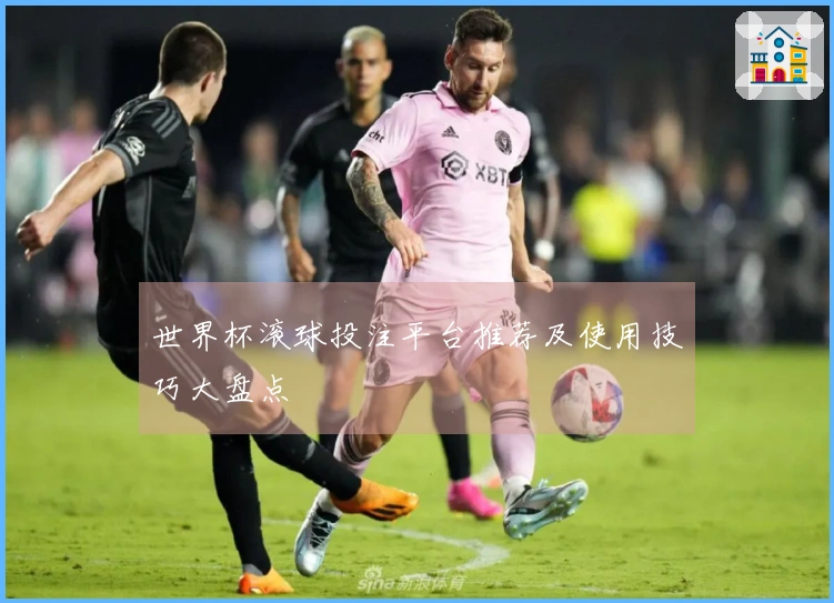 世界杯滚球投注平台推荐及使用技巧大盘点