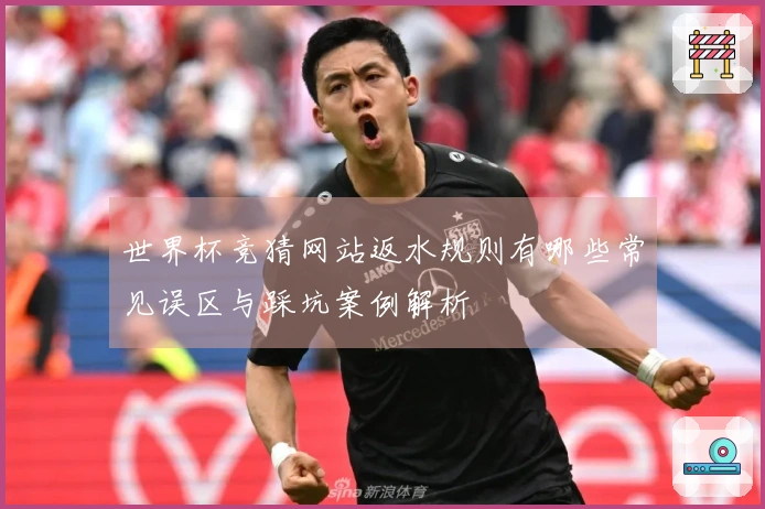 世界杯竞猜网站返水规则有哪些常见误区与踩坑案例解析