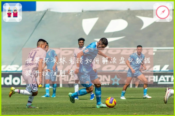 世界杯滚球竞猜如何解读盘口数据提升投注胜率