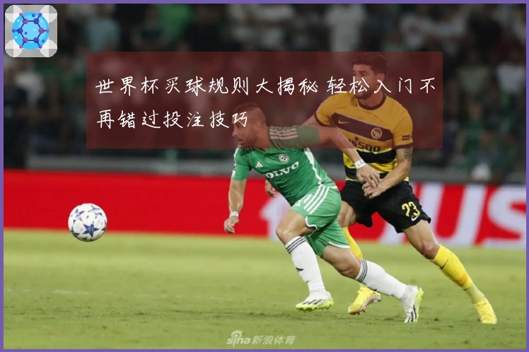 世界杯买球规则大揭秘 轻松入门不再错过投注技巧