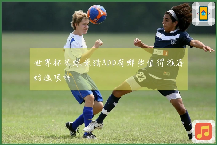 世界杯买球竞猜App有哪些值得推荐的选项吗