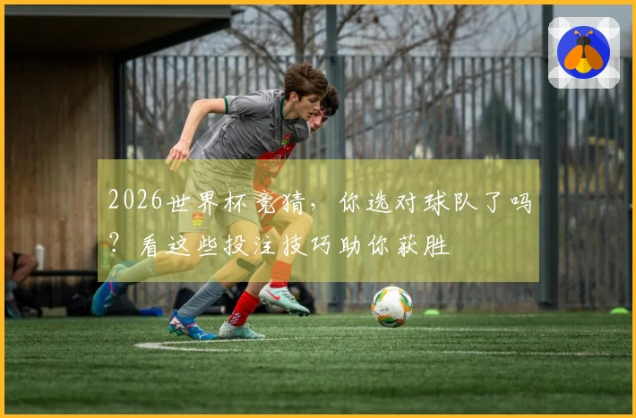 2026世界杯竞猜，你选对球队了吗？看这些投注技巧助你获胜