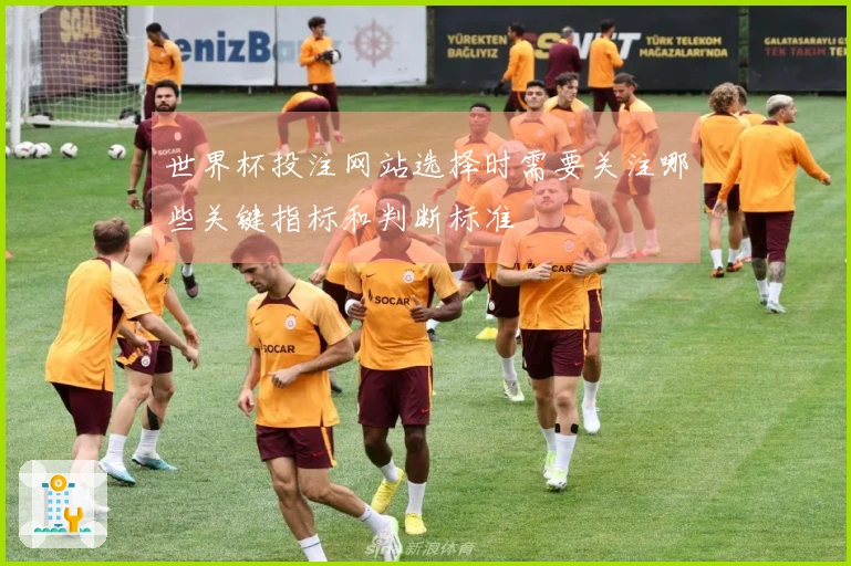 世界杯投注网站选择时需要关注哪些关键指标和判断标准
