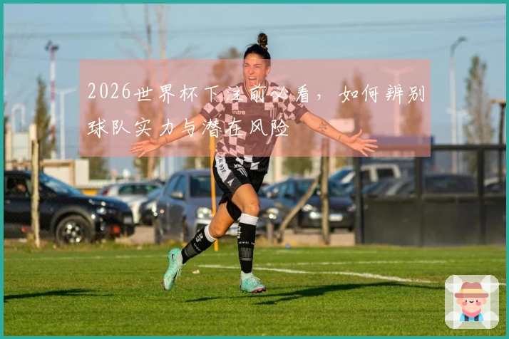 2026世界杯下注前必看，如何辨别球队实力与潜在风险