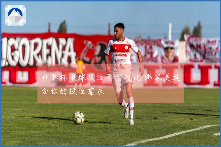 世界杯滚球投注平台对比 哪家更适合你的投注需求