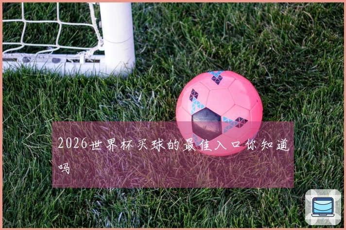 2026世界杯买球的最佳入口你知道吗