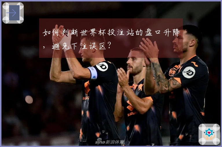 如何判断世界杯投注站的盘口升降，避免下注误区？