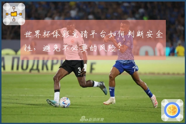 世界杯体彩竞猜平台如何判断安全性，避免不必要的风险？