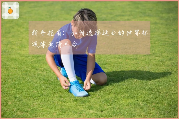 新手指南：如何选择适合的世界杯滚球竞猜平台