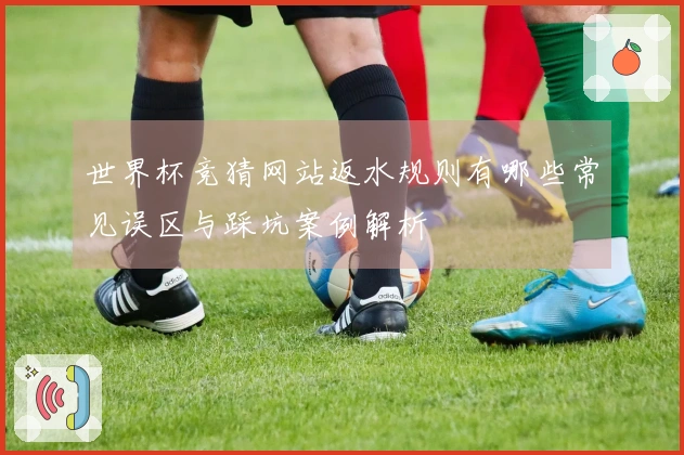 世界杯竞猜网站返水规则有哪些常见误区与踩坑案例解析