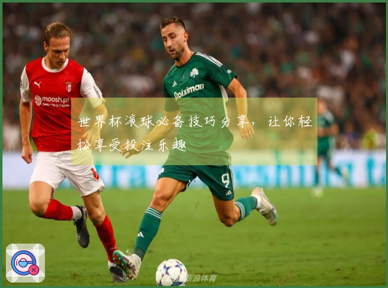 世界杯滚球必备技巧分享,让你轻松享受投注乐趣