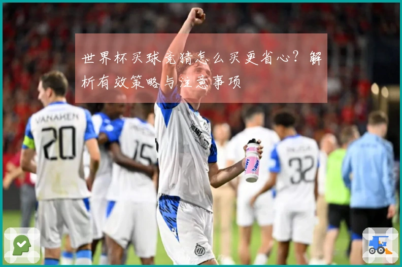 世界杯买球竞猜怎么买更省心？解析有效策略与注意事项