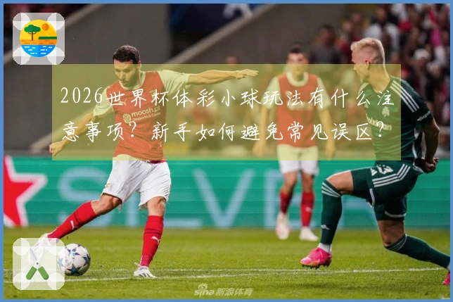 2026世界杯体彩小球玩法有什么注意事项？新手如何避免常见误区？