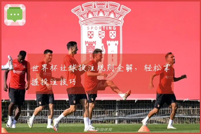 世界杯让球投注规则全解,轻松掌握投注技巧