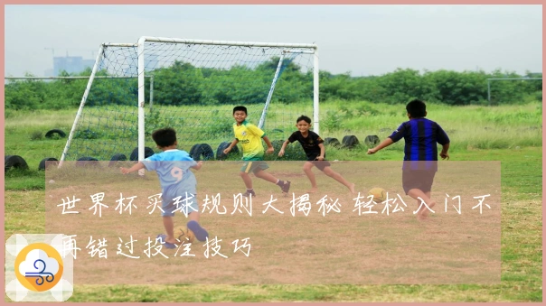 世界杯买球规则大揭秘 轻松入门不再错过投注技巧