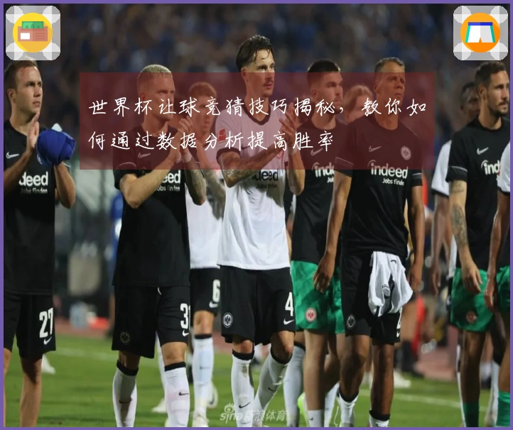 世界杯让球竞猜技巧揭秘，教你如何通过数据分析提高胜率
