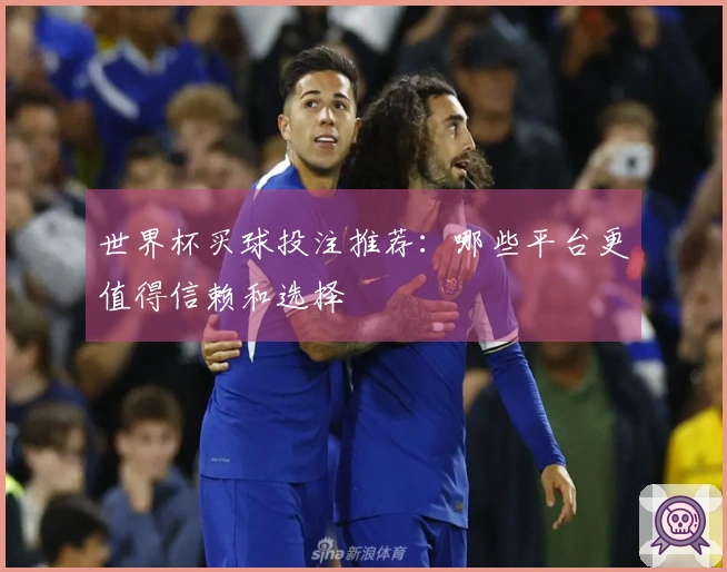 世界杯买球投注推荐：哪些平台更值得信赖和选择