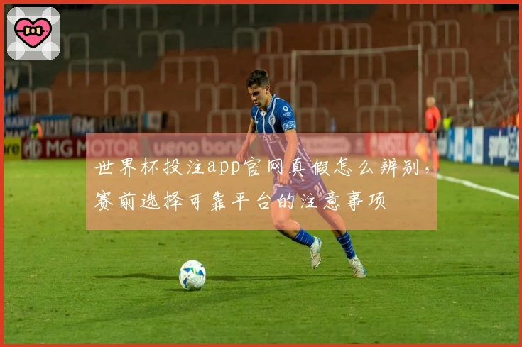 世界杯投注app官网真假怎么辨别，赛前选择可靠平台的注意事项