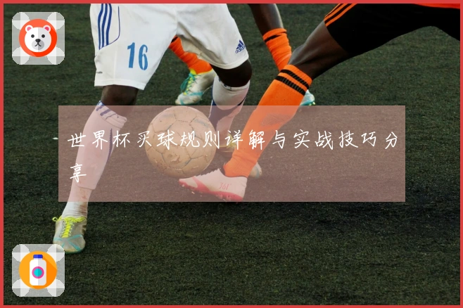 世界杯买球规则详解与实战技巧分享