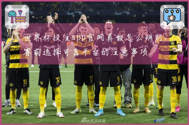 世界杯投注app官网真假怎么辨别，赛前选择可靠平台的注意事项