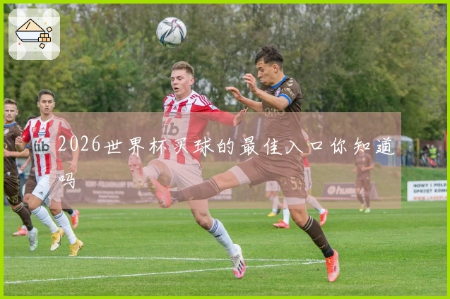 2026世界杯买球的最佳入口你知道吗