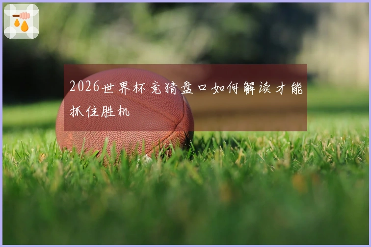 2026世界杯竞猜盘口如何解读才能抓住胜机