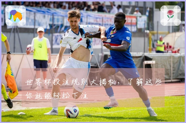 世界杯投注规则大揭秘，了解这些你就能轻松下注