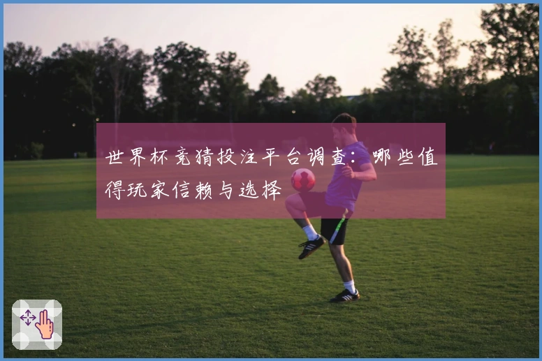 世界杯竞猜投注平台调查:哪些值得玩家信赖与选择