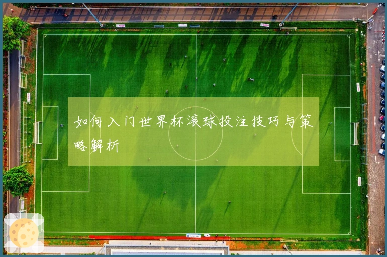 如何入门世界杯滚球投注技巧与策略解析
